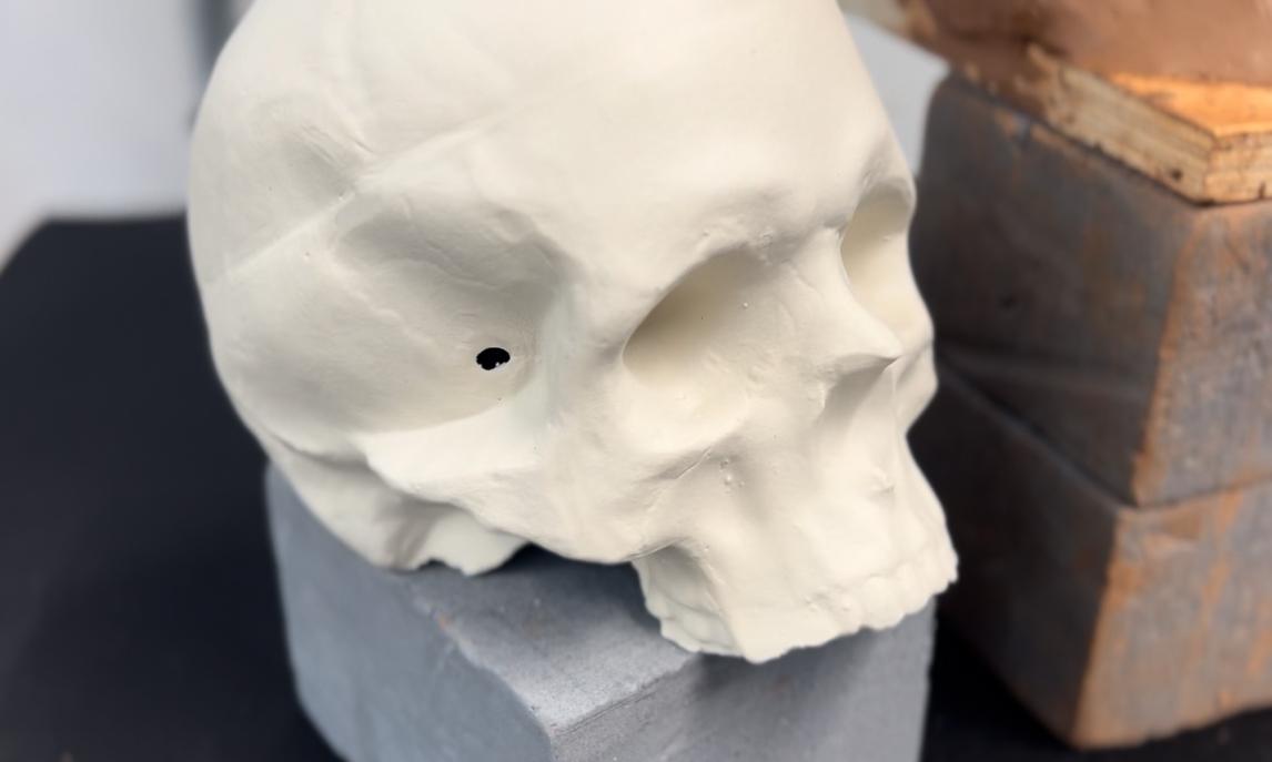 Ceramic casted skull.